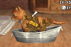 Paws & Claws - Best Friends - Dogs & Cats