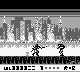 Ninja Gaiden Shadow