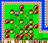 Bomberman Max
