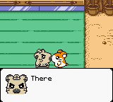 Hamtaro - Ham-Hams Unite!