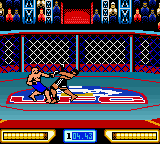 Ultimate Fighting Championship