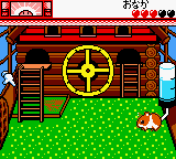 Hamster Paradise 2