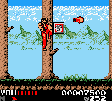 Hiryuu no Ken Retsuden GB