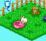 Nakayoshi Pet Series 2 - Kawaii Usagi