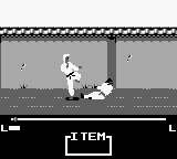 Master Karateka