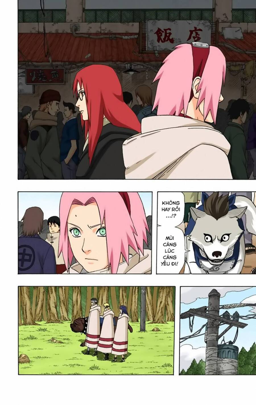 Chapter 356 - 11