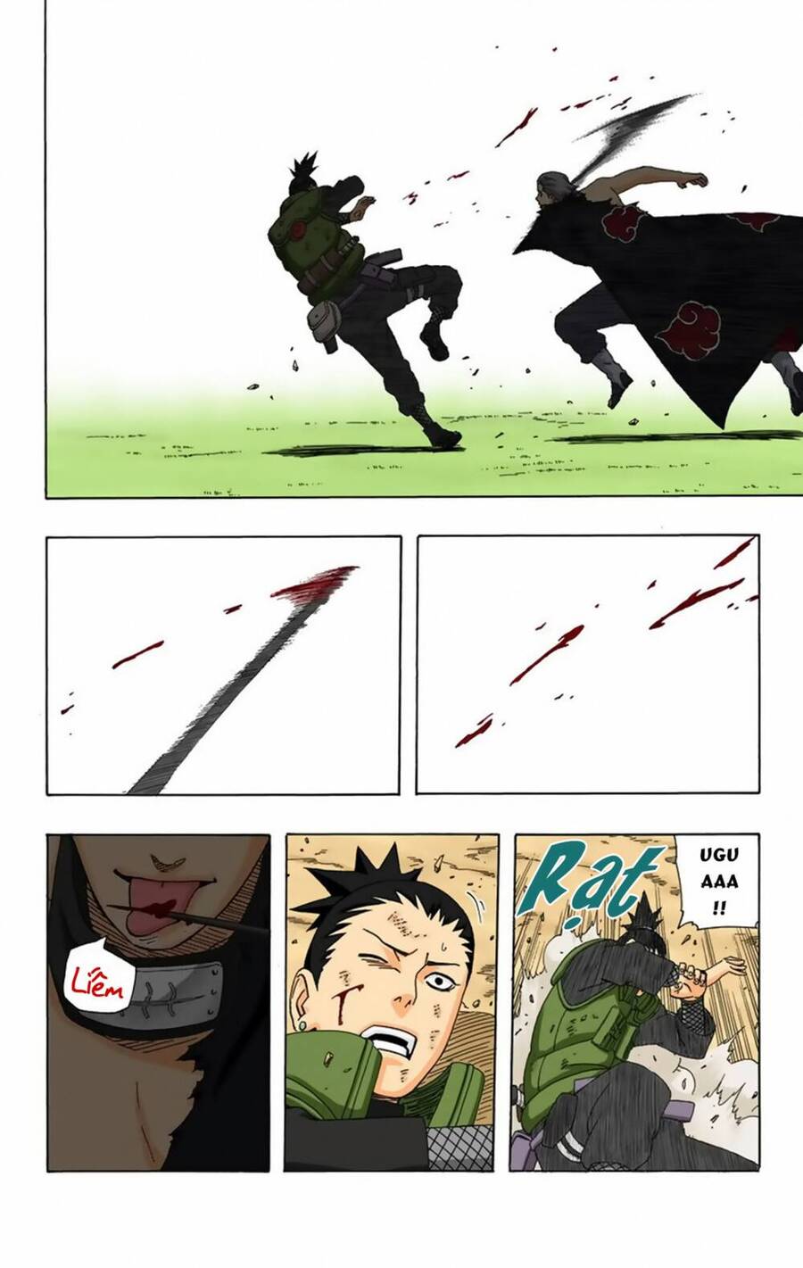 Chapter 336 - 13