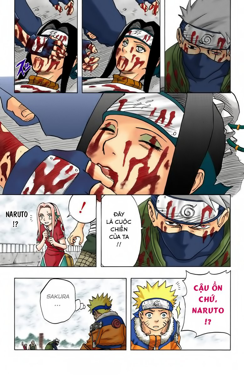 Chapter 31 - 15