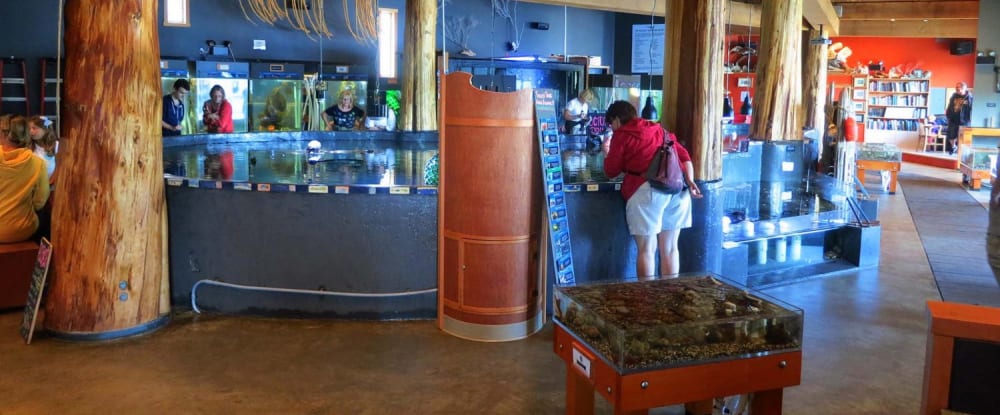 The Ucluelet Aquarium