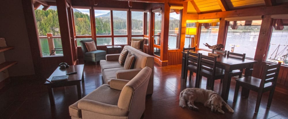 Visiting Ucluelet with Your Dog