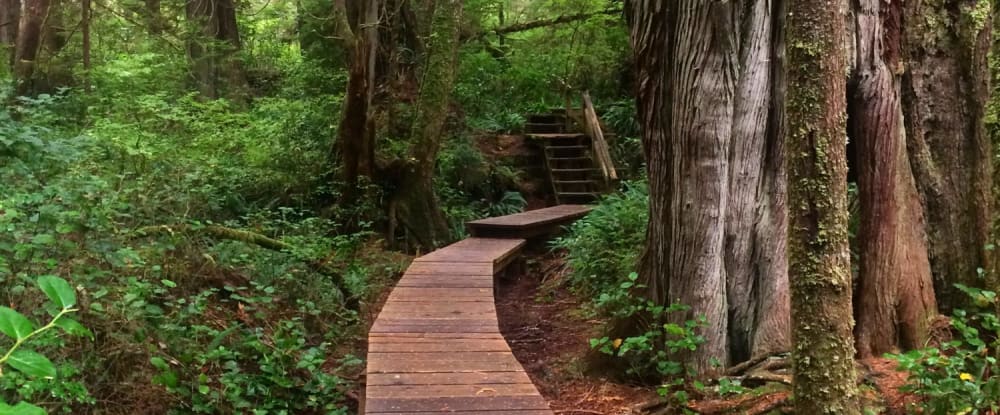 Ten Reasons to Visit Ucluelet in the Winter
