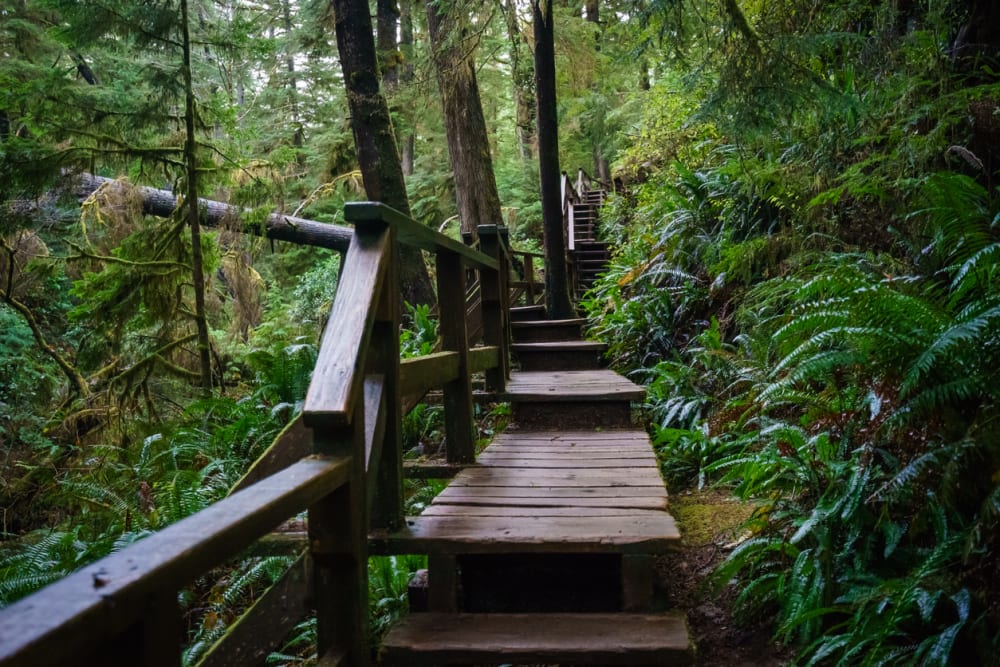 Schooner Cove Trail, Tofino