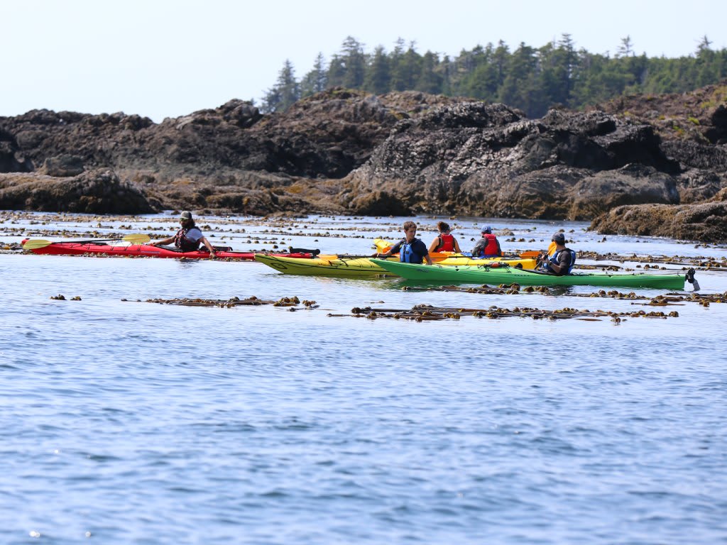 kayaking ucluelet