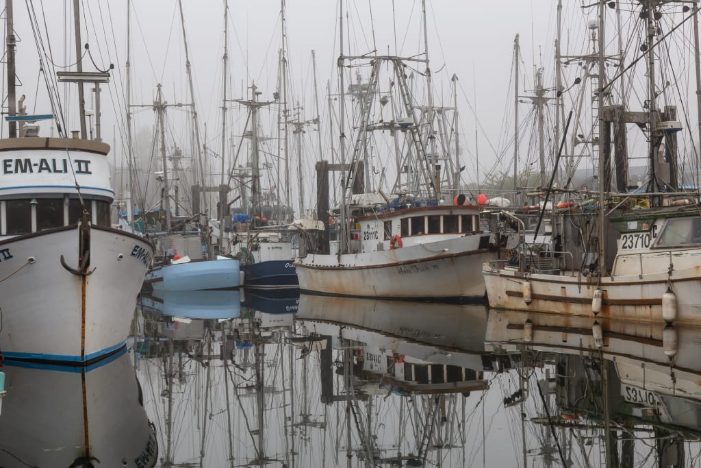 Commercial fishing boats moored in Ucluelet harbour