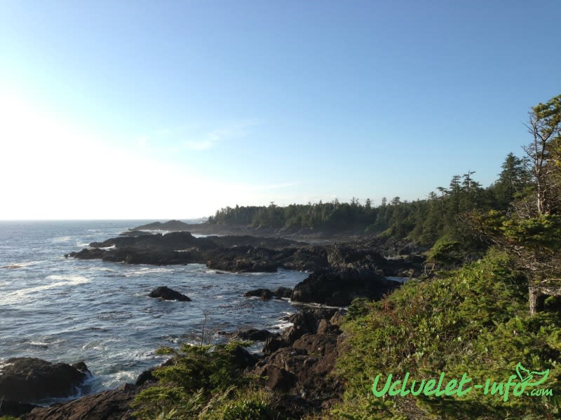 An Experience on the Wild Pacific Trail