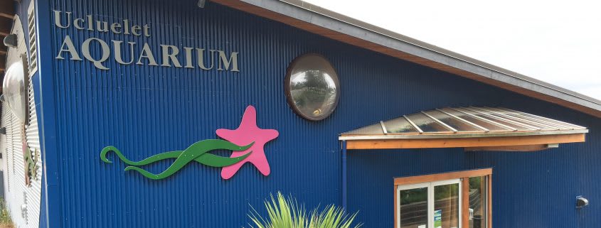 The Ucluelet Aquarium