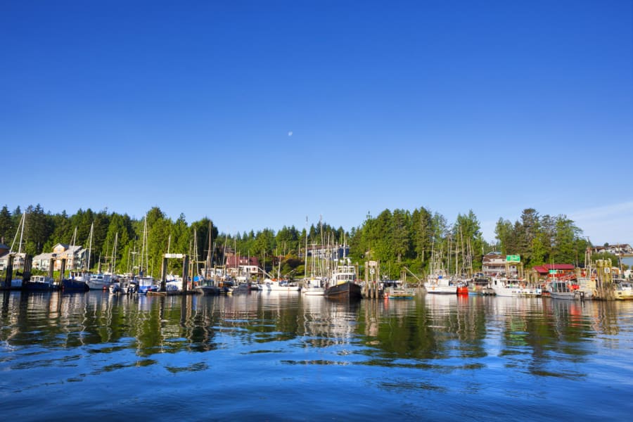 Tofino, a fishing village at the edge of the country photo 4