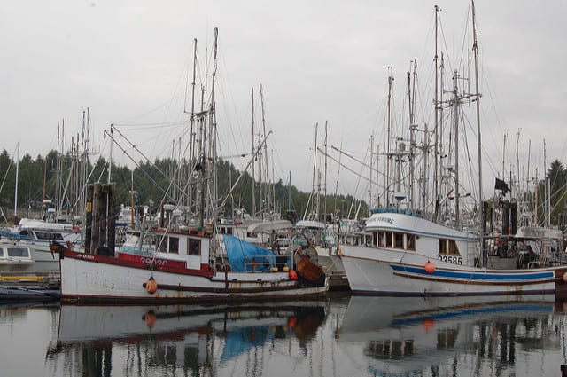 Ucluelet, the safe landing place photo 3