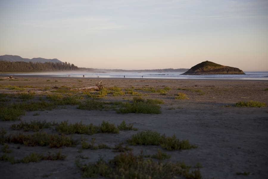 A wide stretch of sand at Long Beach meeting the surf