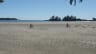 Shopping in Tofino