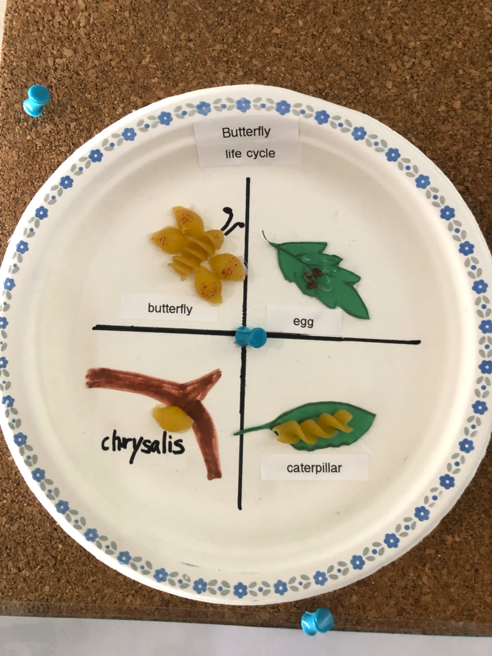 Garderie Ami Câlin — atelier créatif de sciences naturelles : les enfants réalisent une activité manuelle pour représenter le cycle de vie du papillon (oeuf, larve, chrysalide, adulte). Un environnement Montessori ludique et éducatif; inscriptions en cours à Gatineau. — Garderie Ami Câlin — Atelier créatif : cycle de vie du papillon — Mots-clés : Garderie Ami Calin, science naturelle, cycle de vie du papillon, bricolage éducatif, environnement Montessori, inscription.