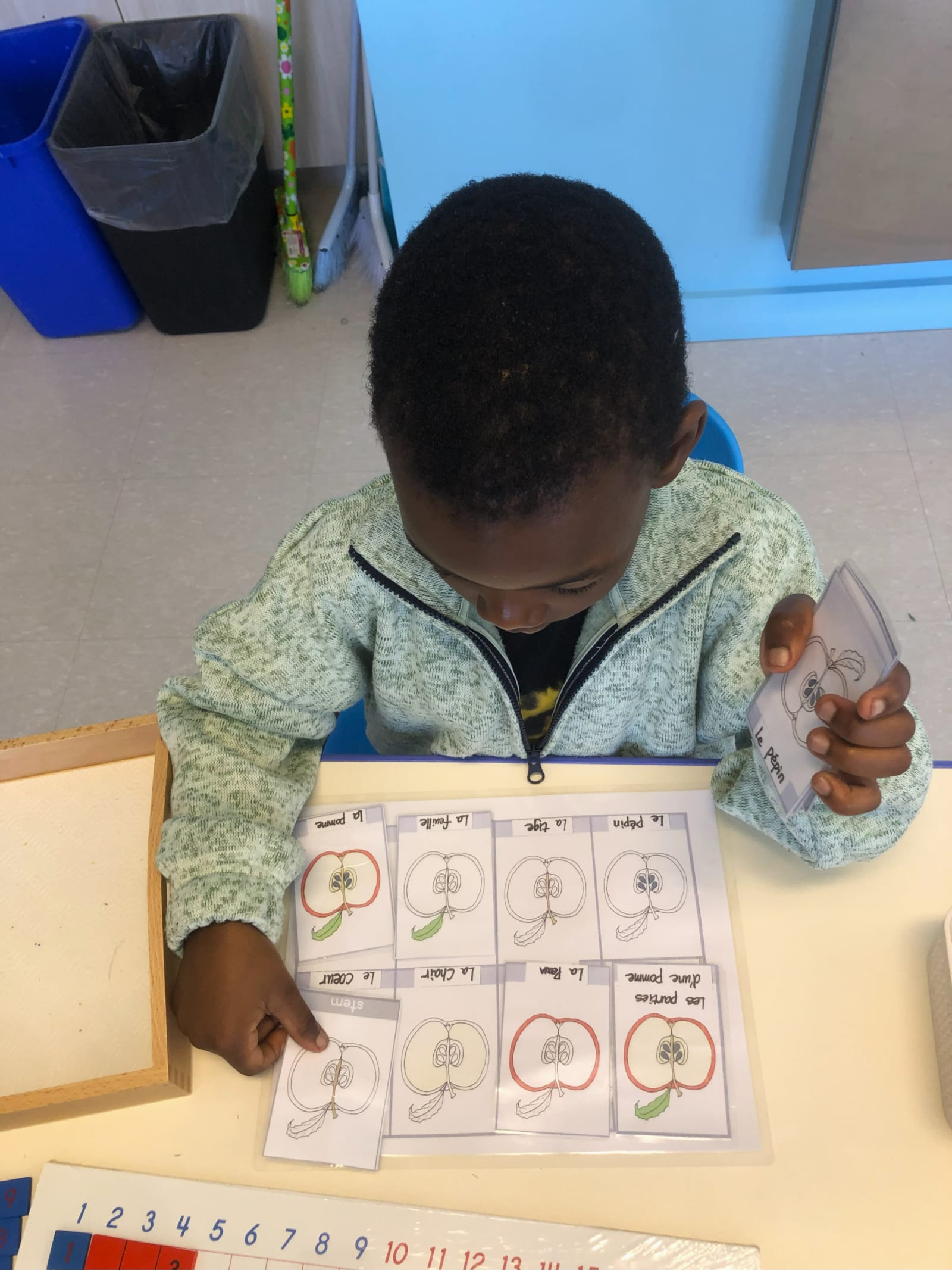 Garderie Ami Câlin — activité d'initiation au français : un enfant utilise les cartes en trois temps Montessori pour apprendre les parties d'une pomme (Les parties d'une pomme). Cette scène reflète un environnement francophone et scientifique professionnel dans notre garderie de Gatineau. Inscriptions en cours. — Garderie Ami Câlin — Initiation au français : les parties d'une pomme — Mots-clés : Garderie Ami Câlin, initiation au français, cartes en trois temps Montessori, parties d'une pomme, garderie Gatineau, inscriptions.