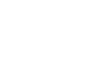 Logo Volver a Casa en blanco