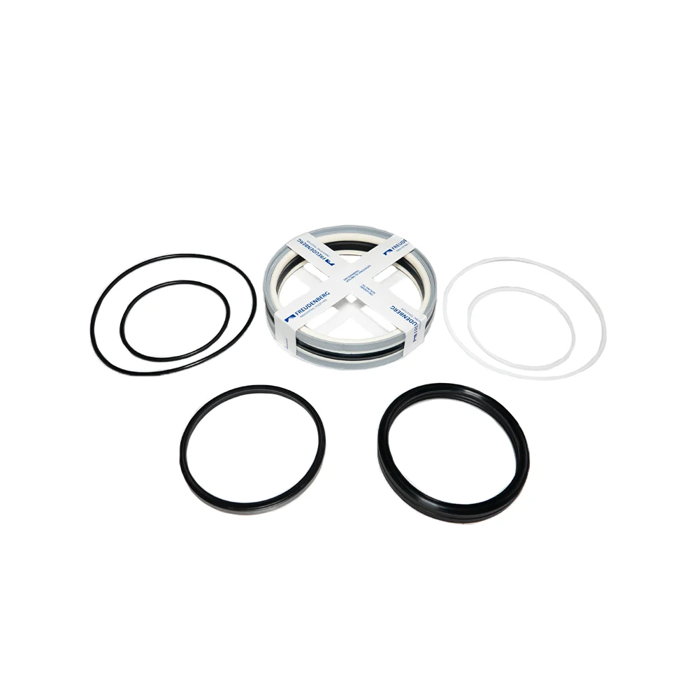 Putzmeister 245862003 Seal Kit
