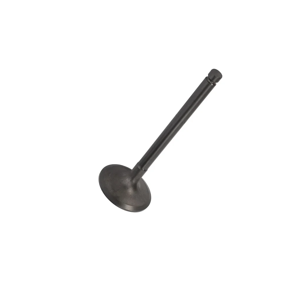Valve Inlet 3343J021, 4223074M1 Perkins