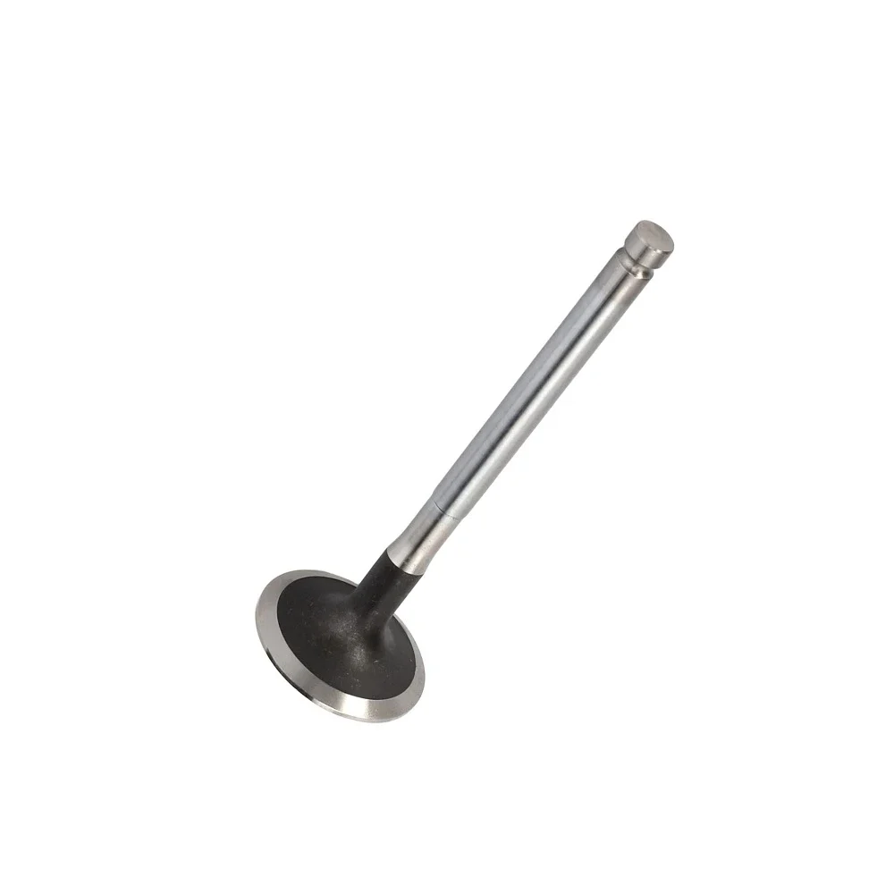 Exhaust Valve 3142A151, 4224846M1 Perkins