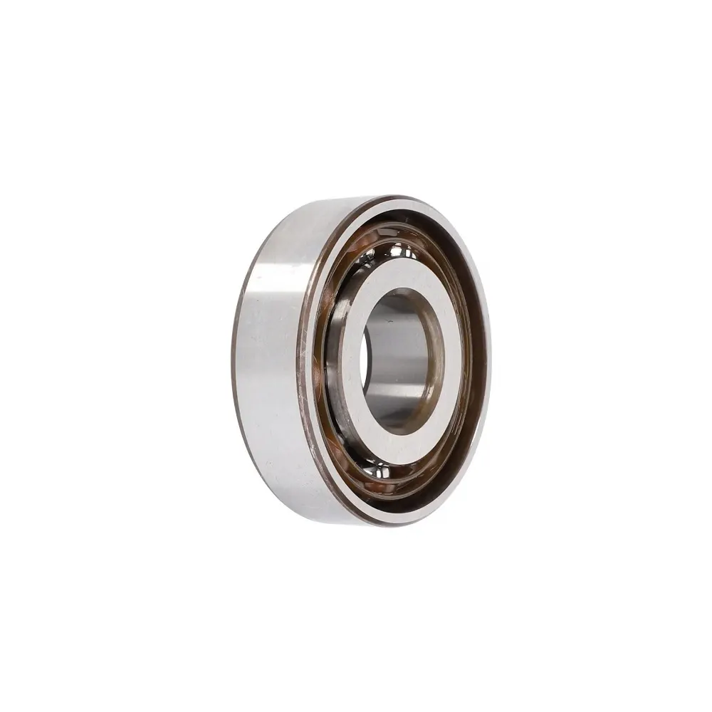 Bearing V610073040 Fendt
