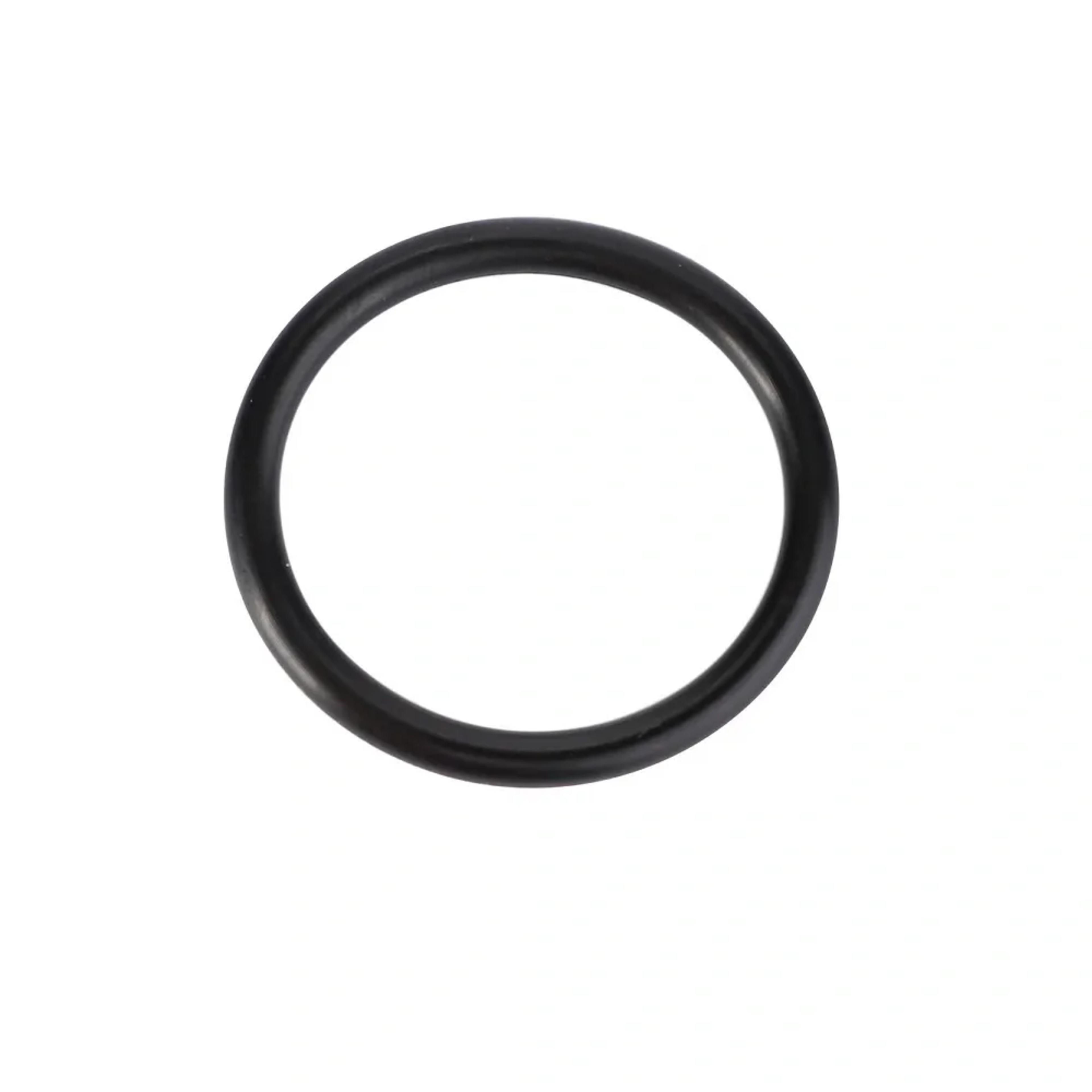 Oring F119200210740 Fendt