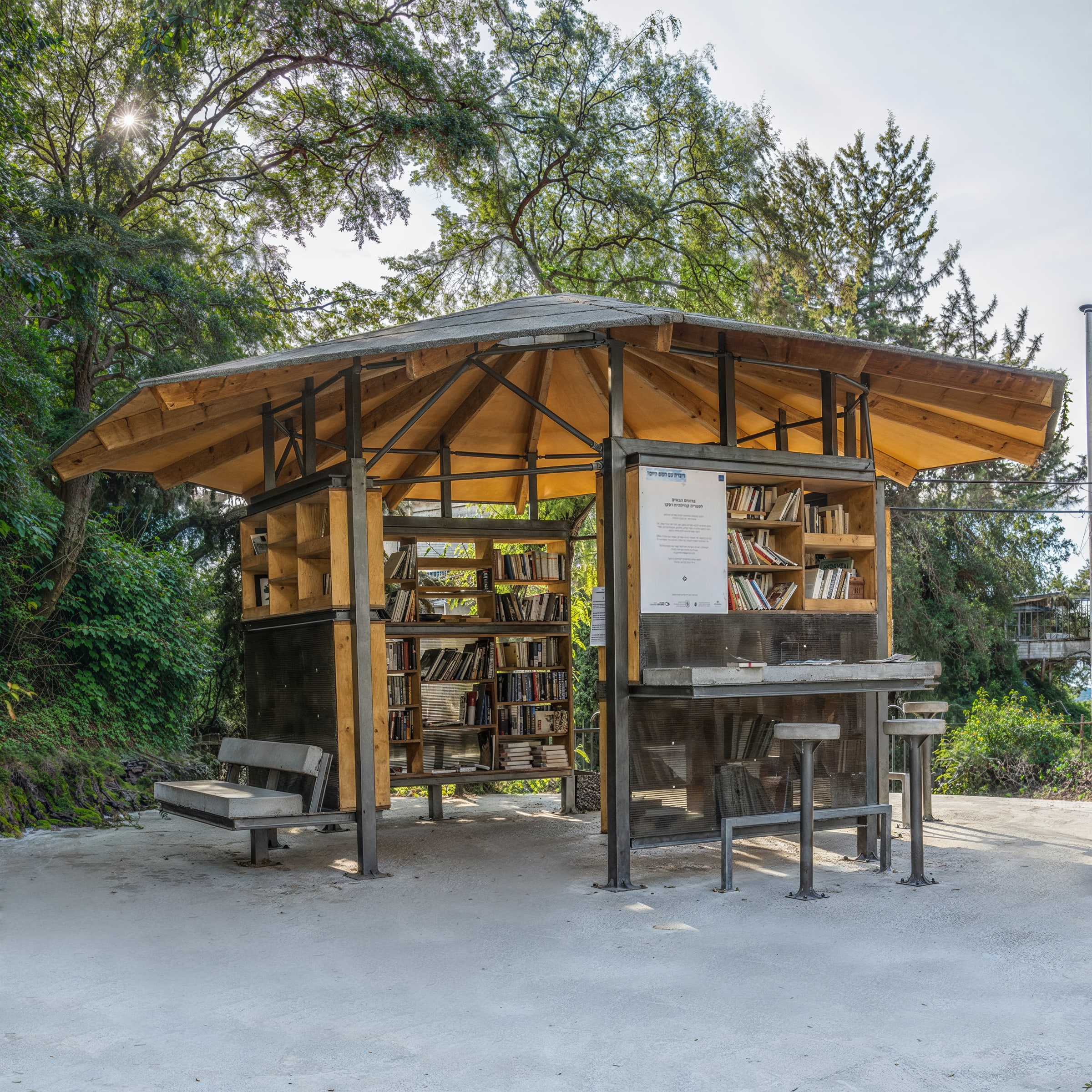 Rasko Street Library