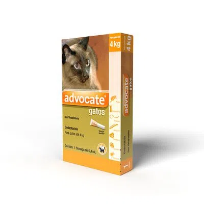 Antipulgas Advocate Gatos até 4 kg 1 pipeta Antipulgas Advocate Gatos até 4 kg 1 pipeta