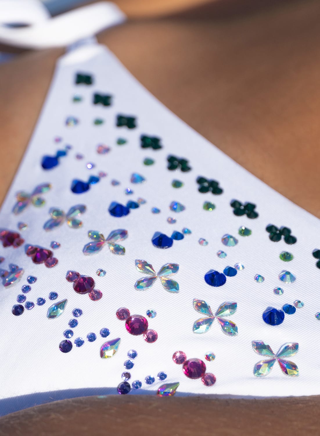 Crystal Bio-Based Bikini - Image 2