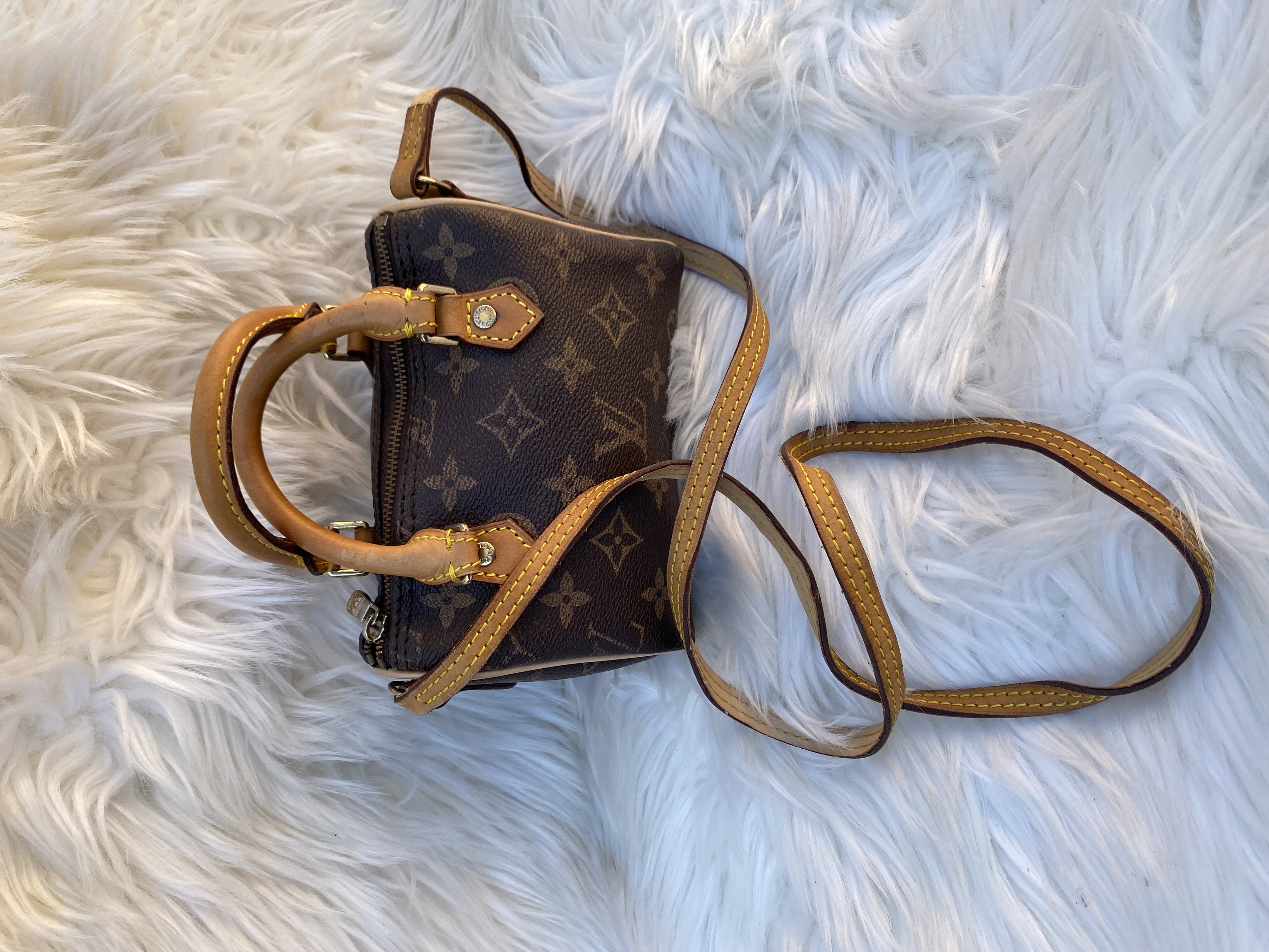 Louis Vuitton monogram Nano