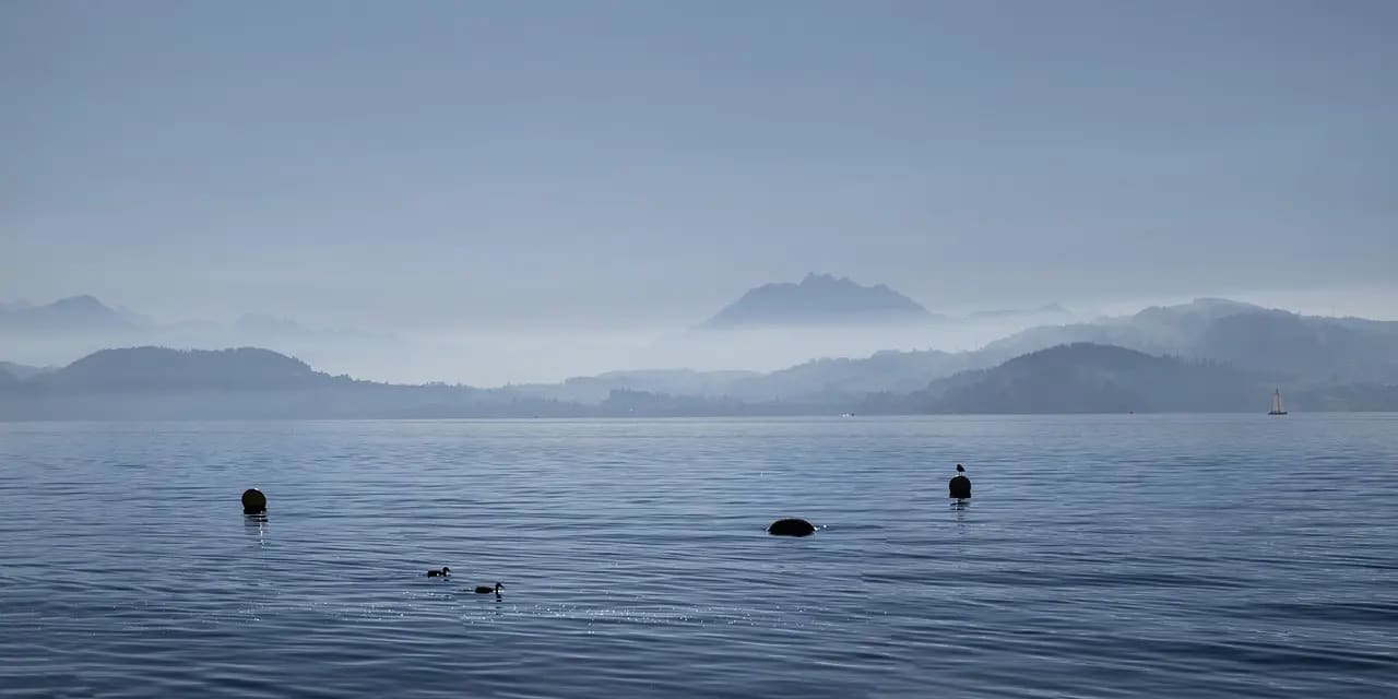 Dentalarts AG interior