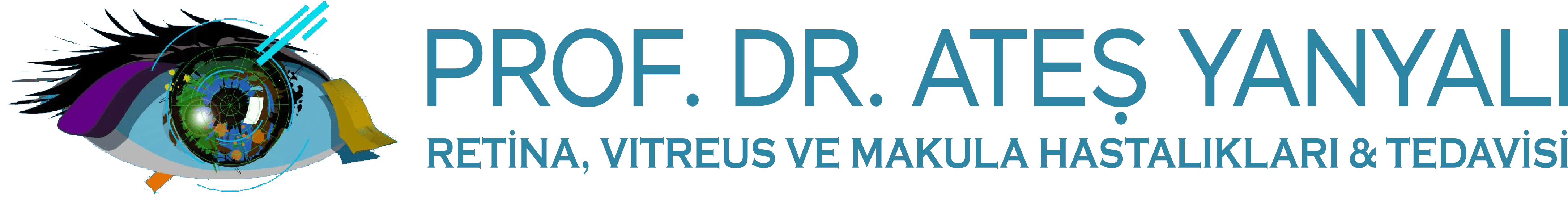 Dr. Ates Yanyali interior