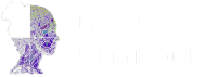 Doç.Dr.İsmail GÜLER interior