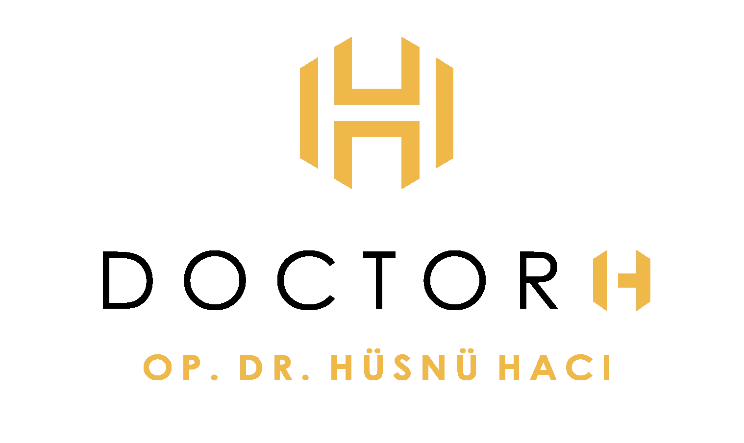 Assist. Prof. Dr. Hüsnü Hacı interior