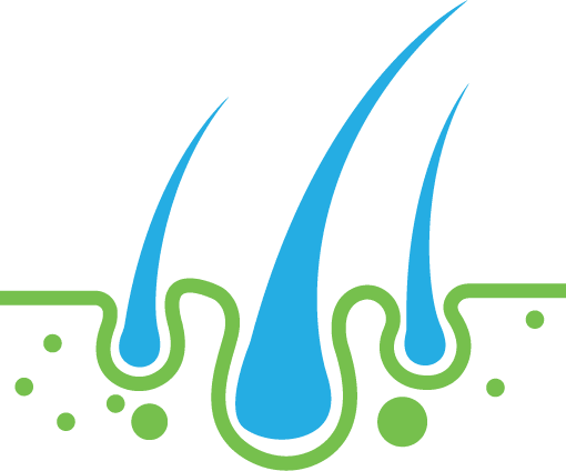 New Hairline Hair Antalya interior