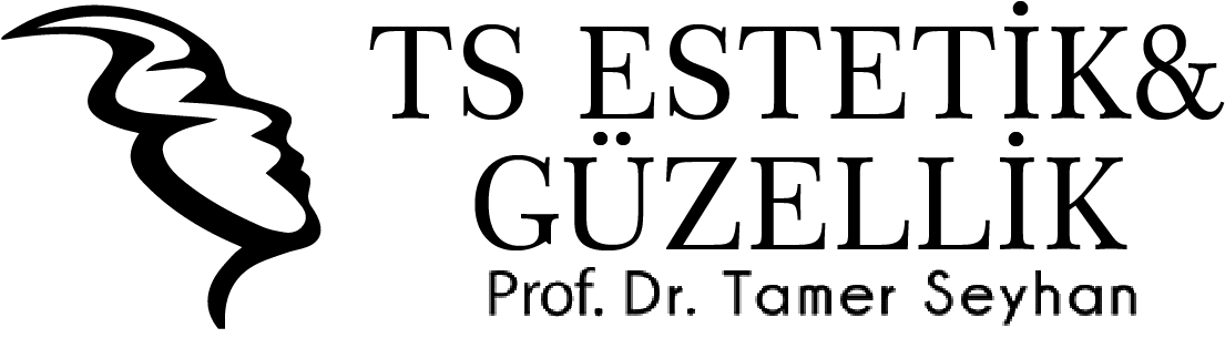 Prof. Dr. Tamer Seyhan interior