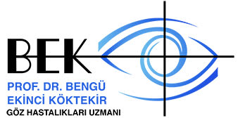 Prof. Dr. Bengü Ekinci Köktekir (Konya Göz Doktoru - Konya Excimer Lazer - Konya Göz Kapağı Ameliyatı) interior