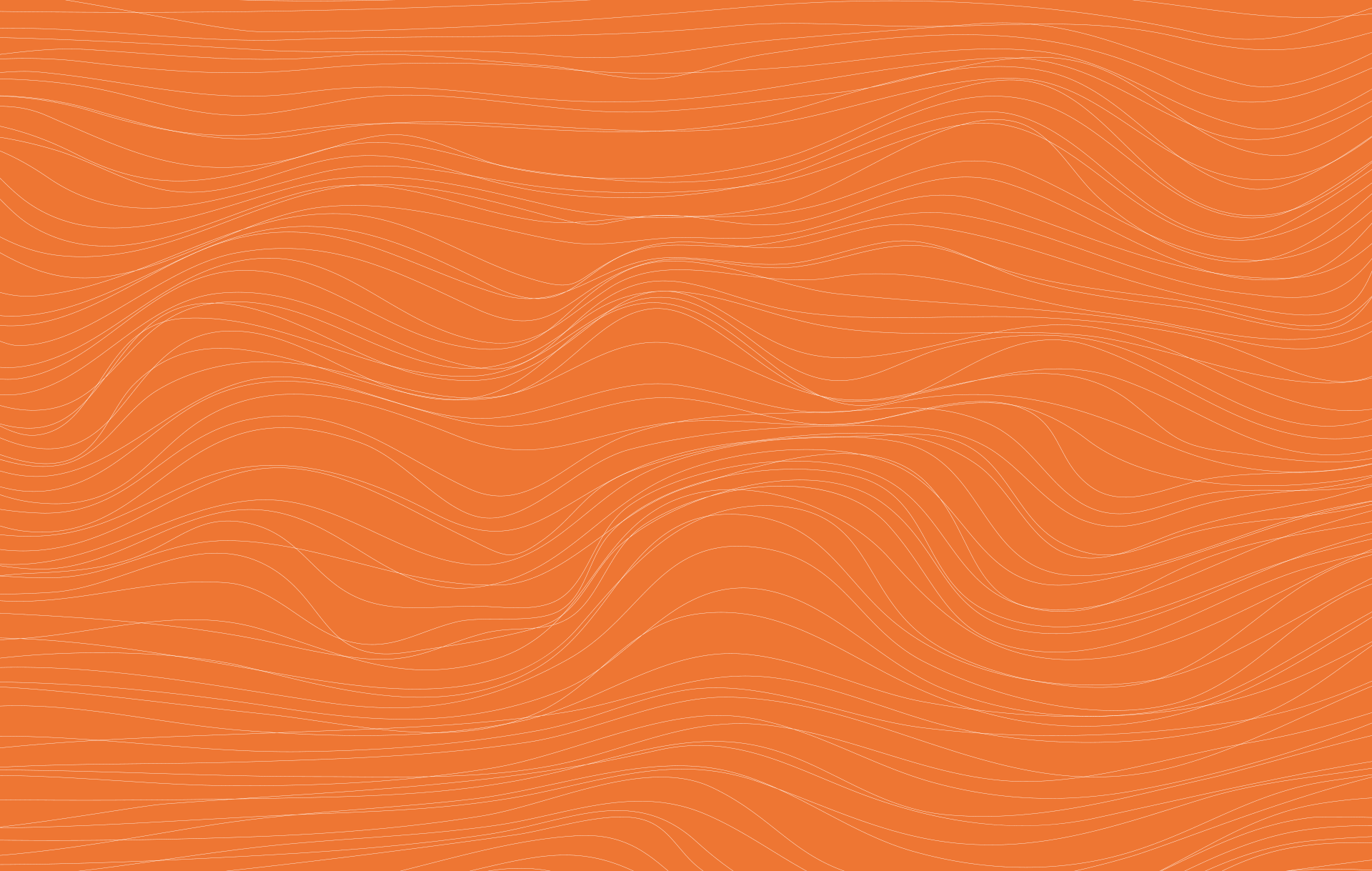 New Life Aesthetic Istanbul interior