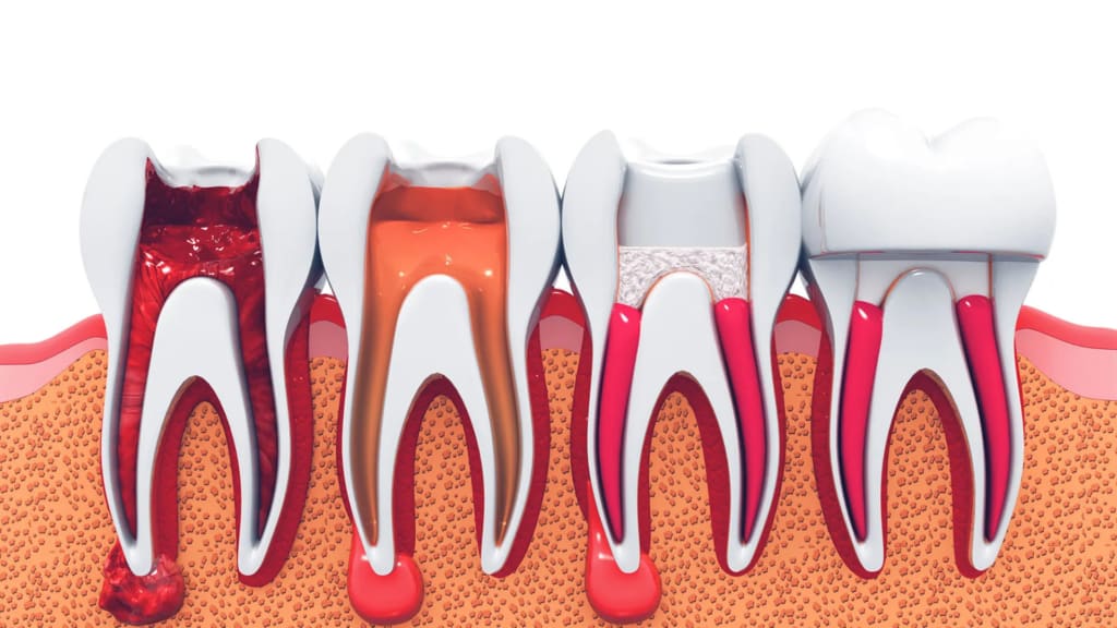 AvrupaDiş Ambarlı Ağız ve Diş Sağlığı Polikliniği gallery image 2