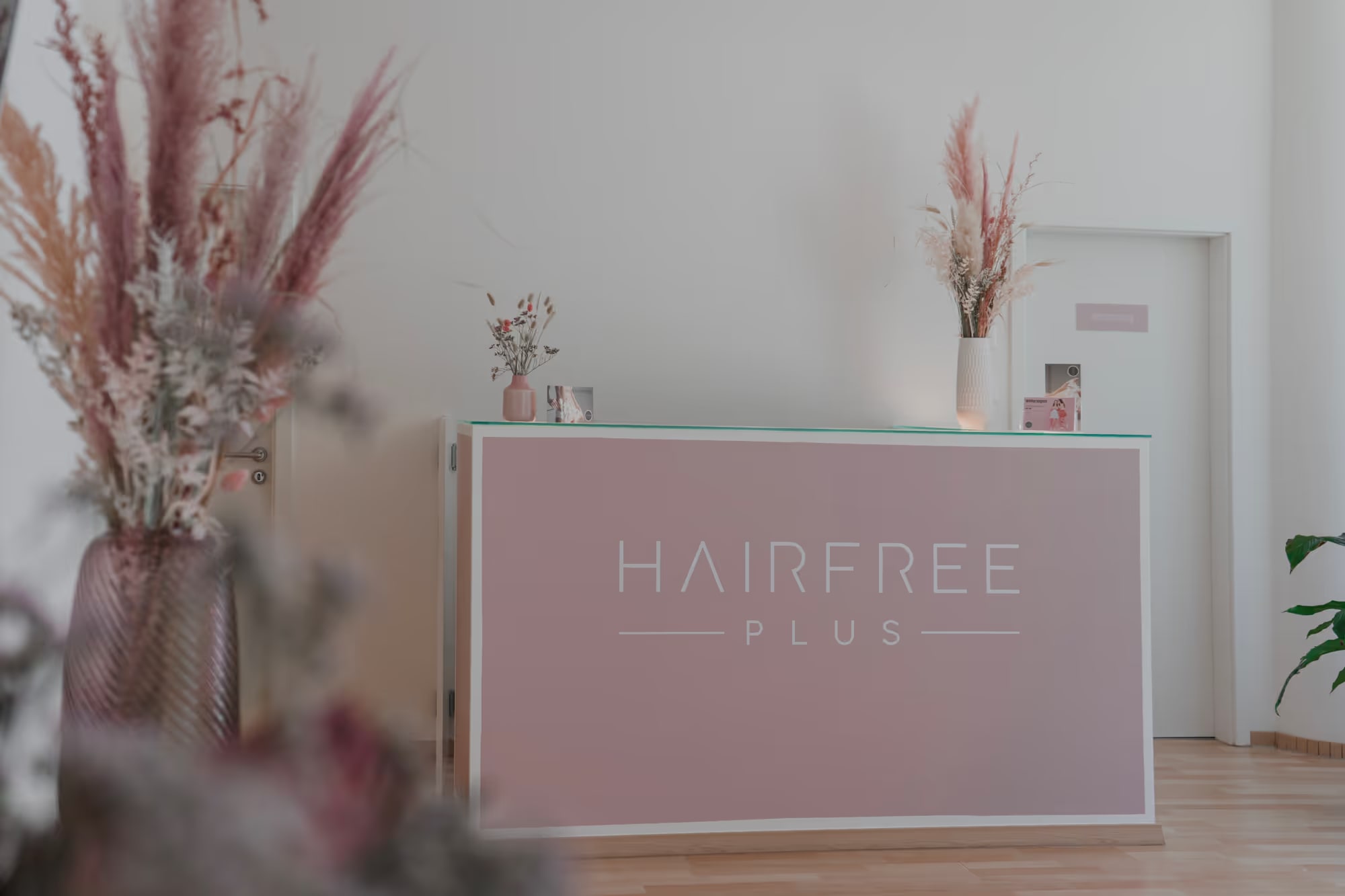 Hairfree Plus interior