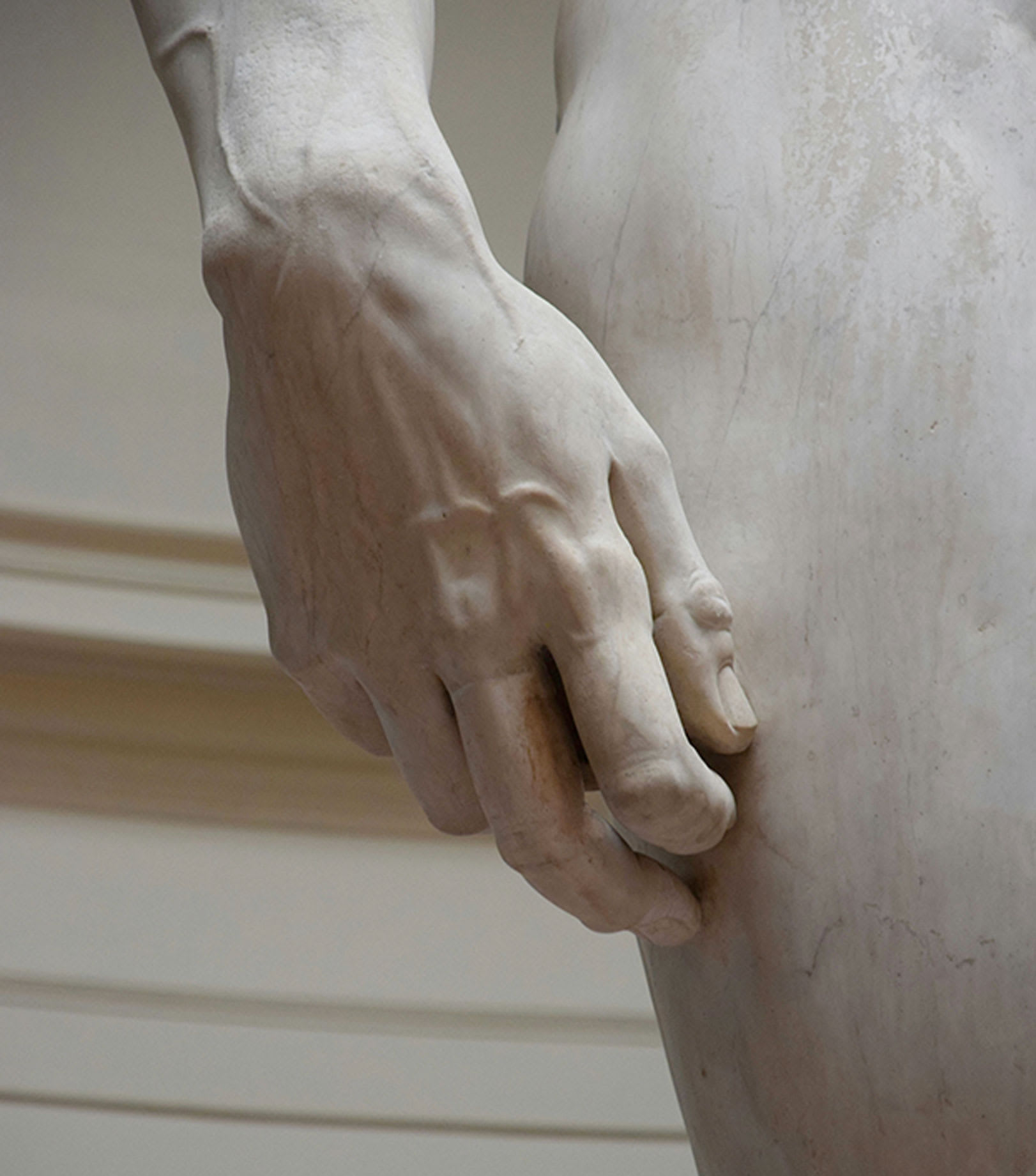 MISU Clinic gallery image 3