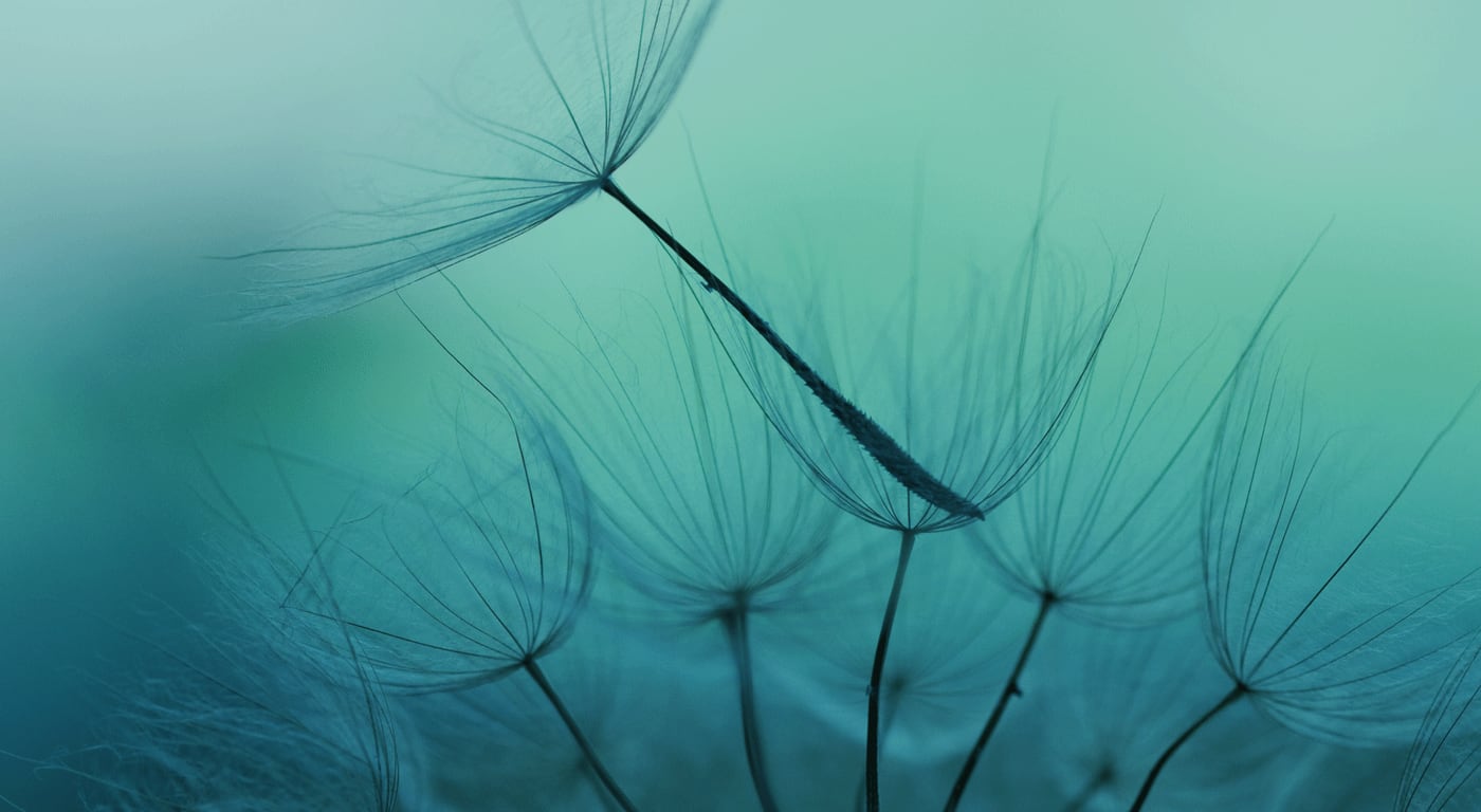 JOUVENCE MEDICAL AESTHETIC CLINIC interior