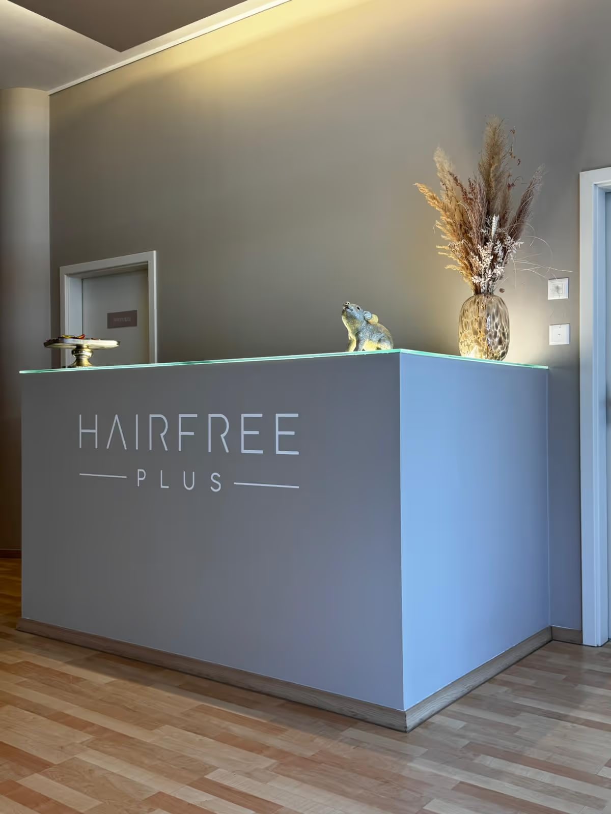 Hairfree PLUS Luzern interior