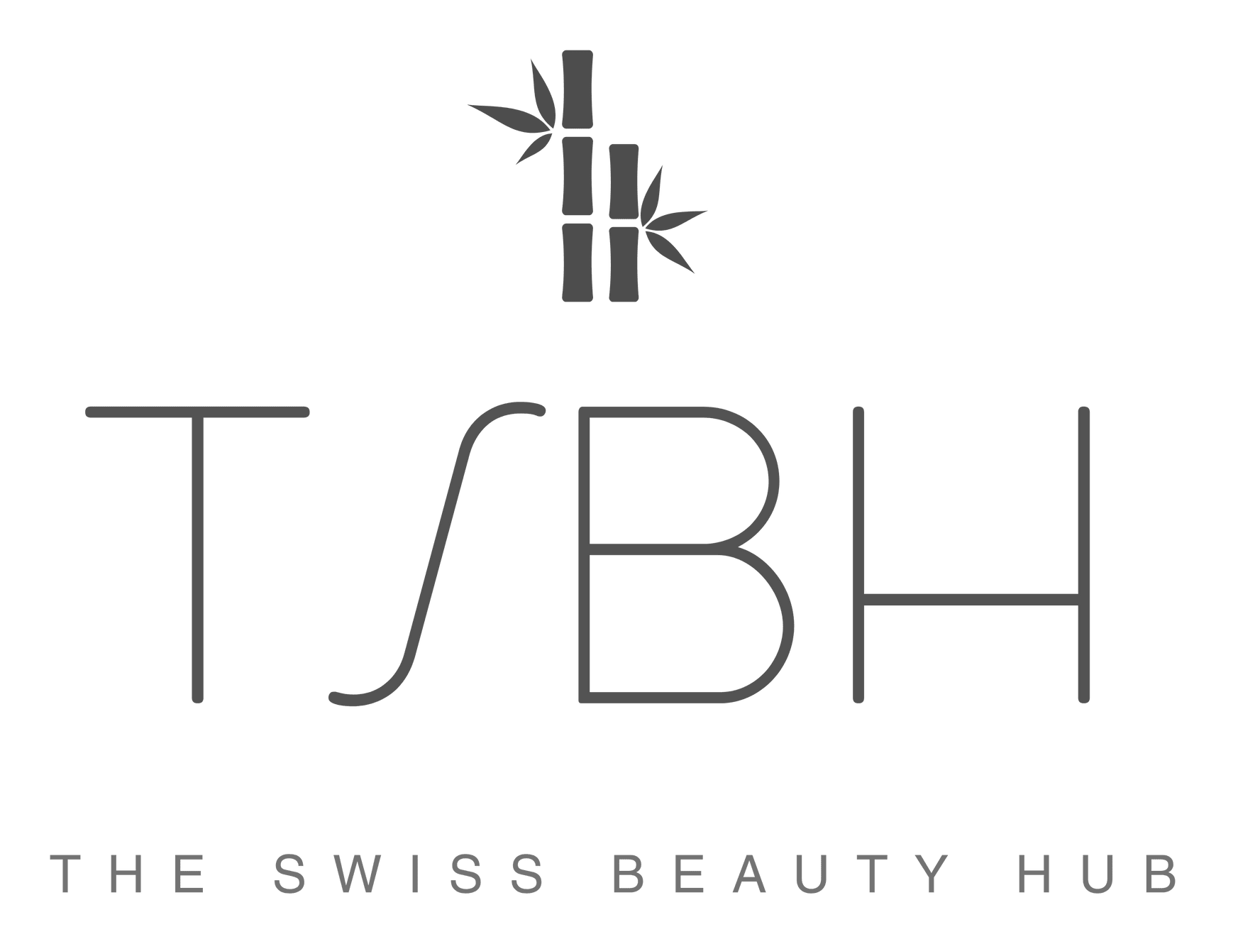 TSBH - The Swiss Beauty Hub interior